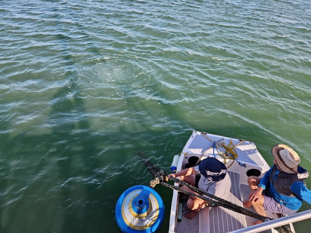 mooring ball, misadventures in Queensland