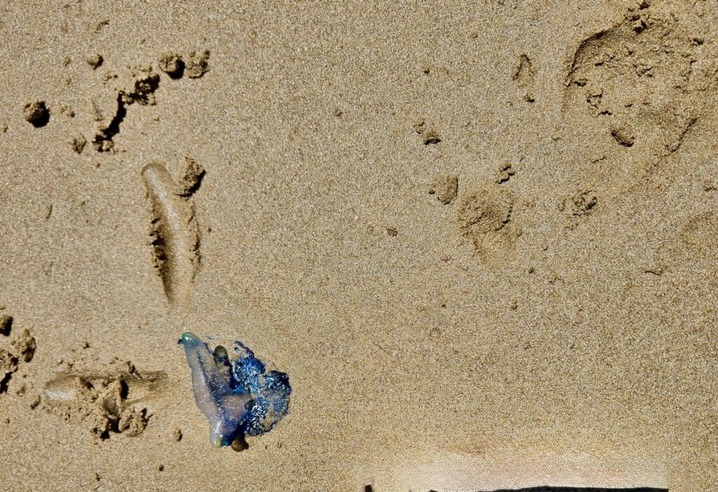 Blue bottle on the beach