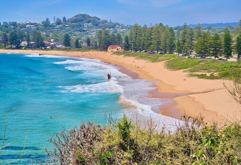 Spider, NSW, beach view