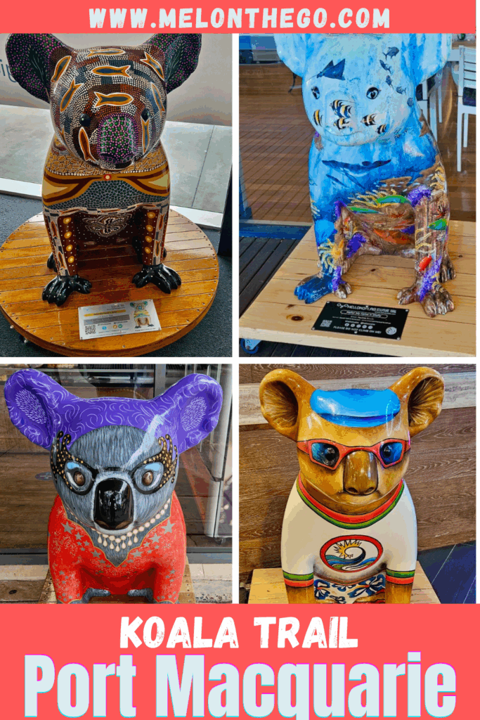 Koala sculptures Port Macquarie pin