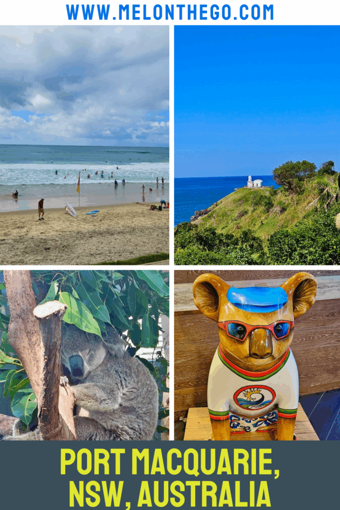 Port Macquarie pin, koalas, beach