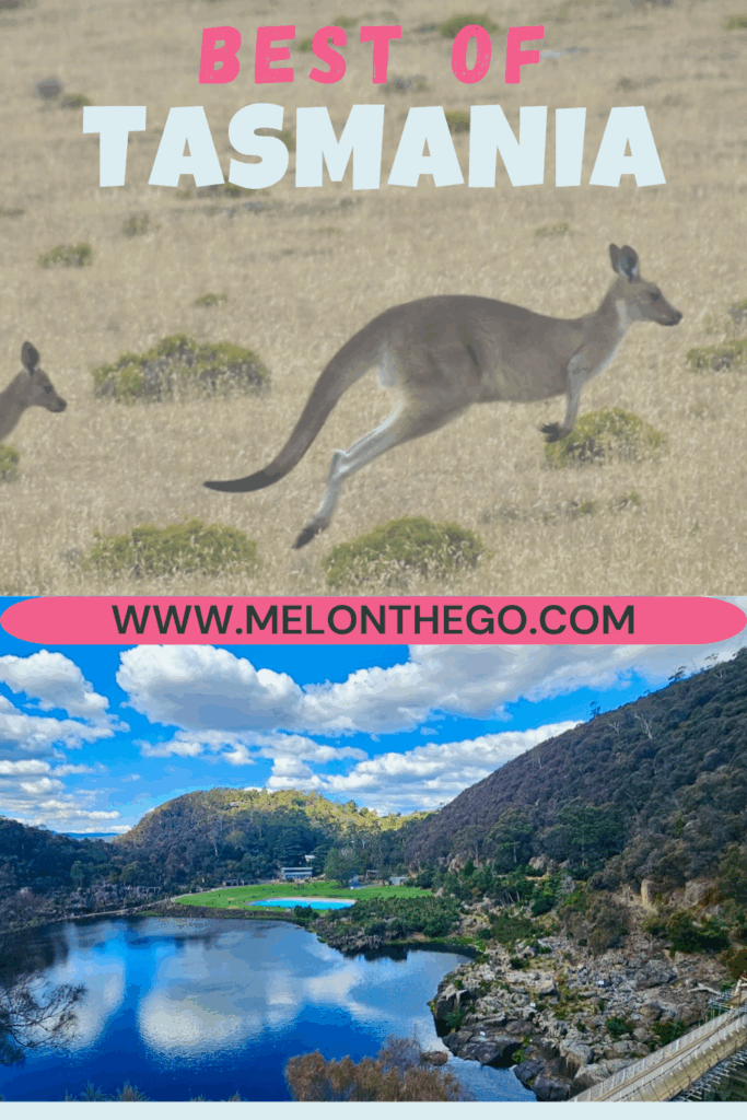 Tasmania Highlights pin