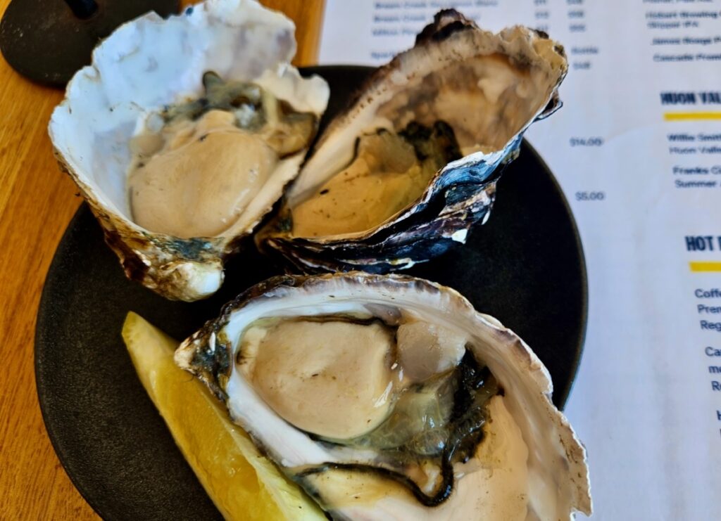 Bruny Island oysters, Tasmania highlights