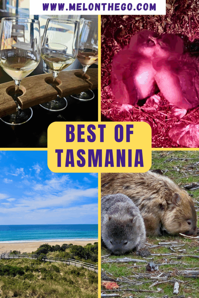 Pin Tasmania highlights