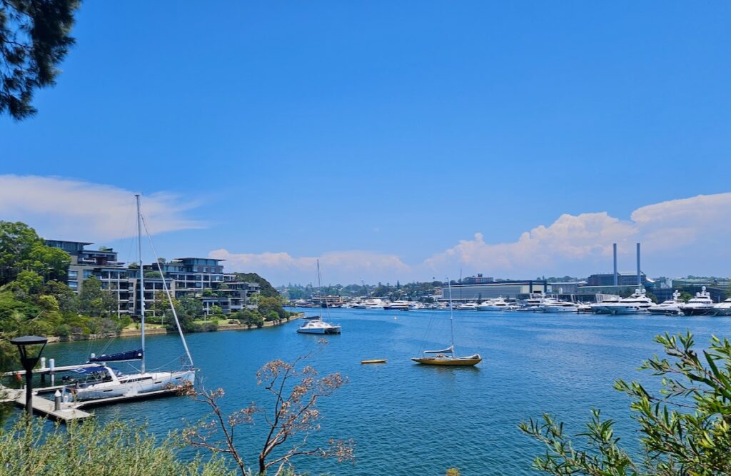 Catamaran and sailboats at anchor, Sydney