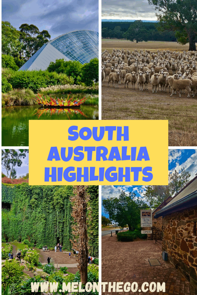 A week in South Australia pin
