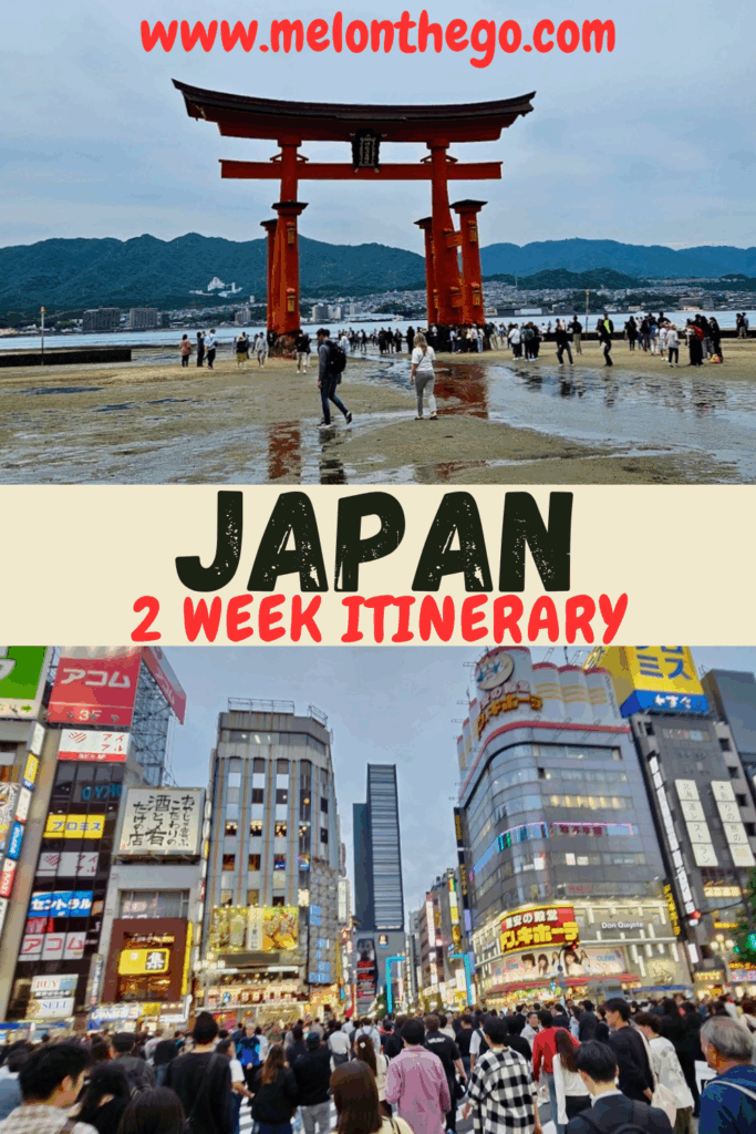 2 Weeks in Japan Pin