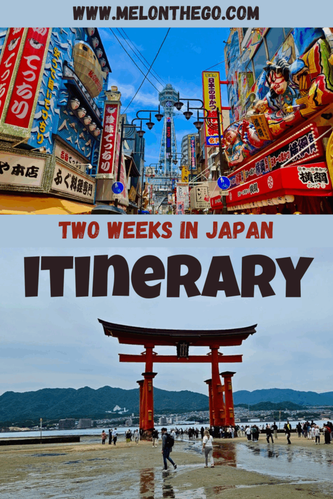 Japan Itinerary pin