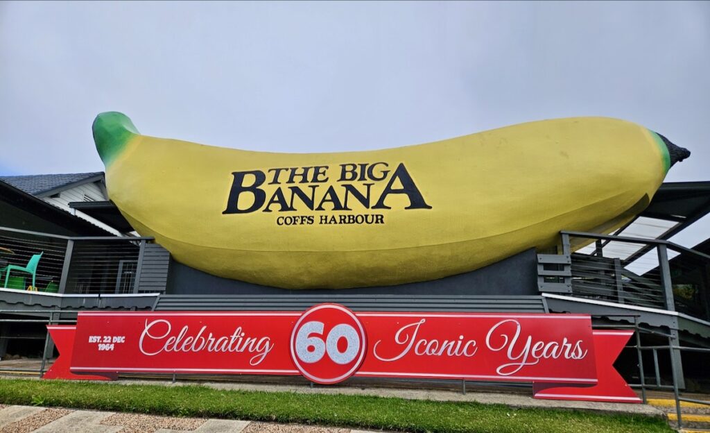 big banana