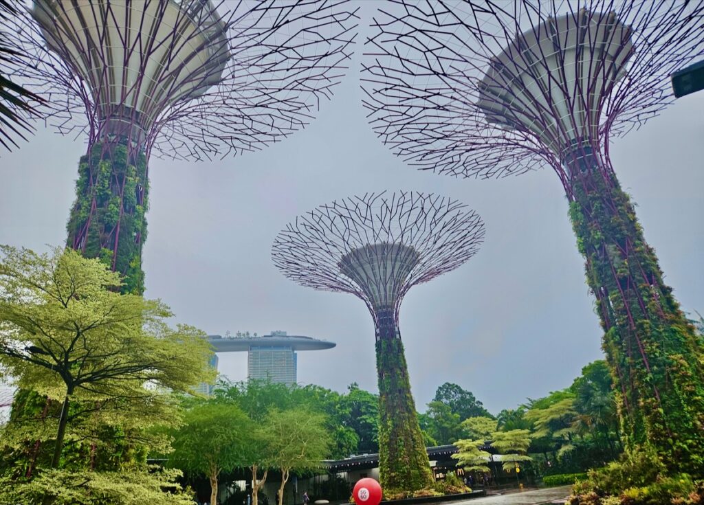 Supertree Grove, Gardens by the Bay