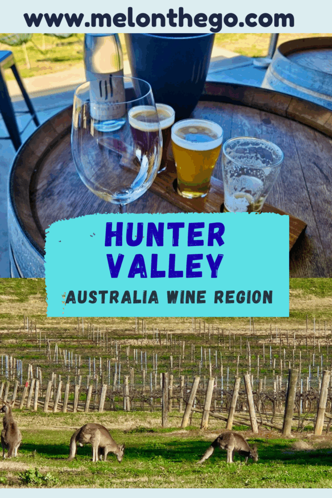 Hunter Valley wine region pin