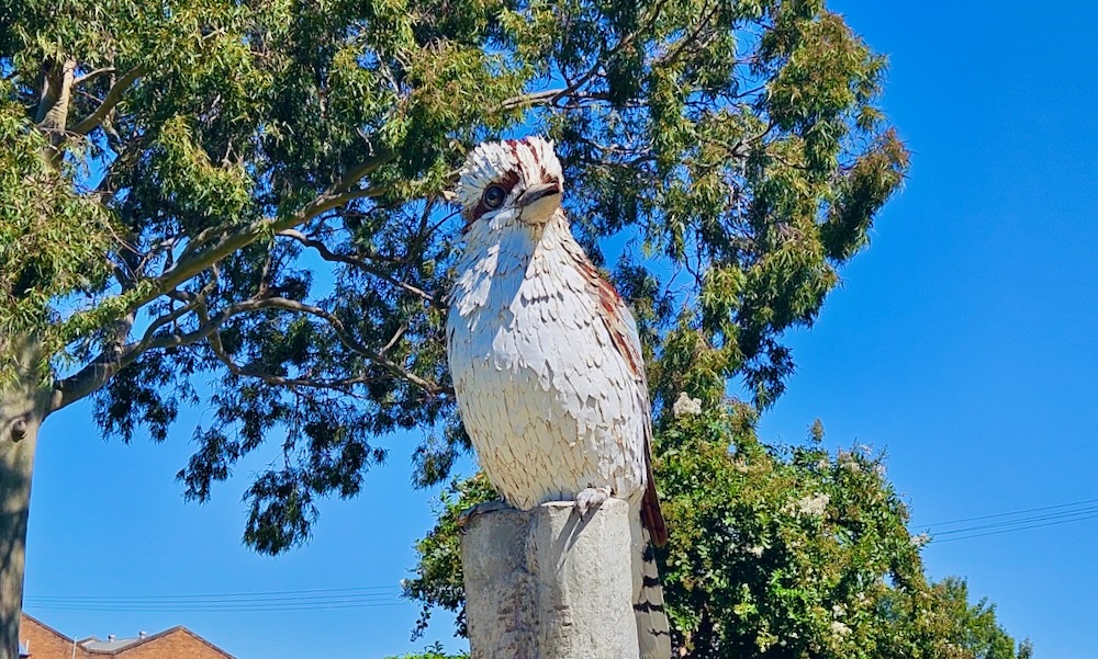 Big Kookaburra installation