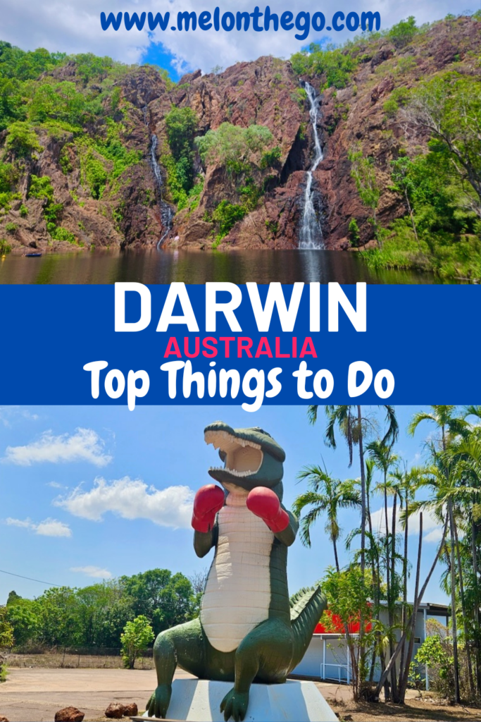 Darwin Must Dos Pin