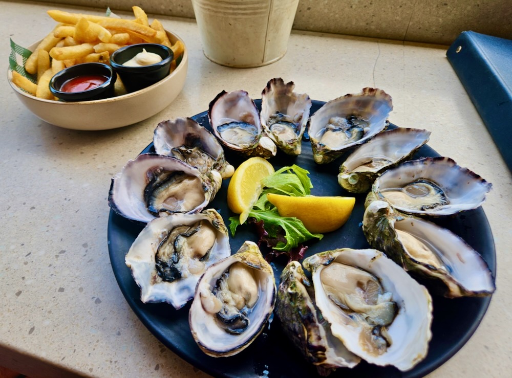 oysters at Darwin Oyster bar