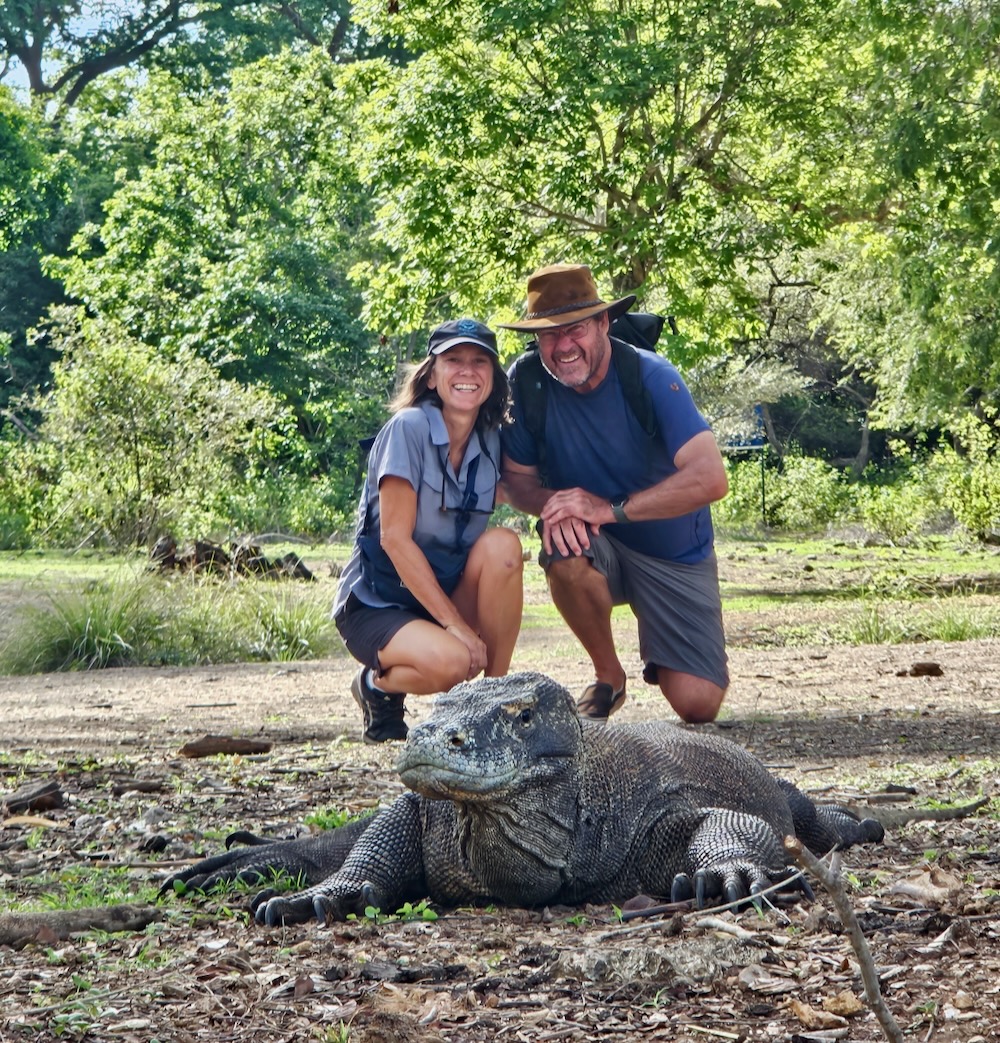 Komodo dragon, Komodo, Eastern Indonesia highlights