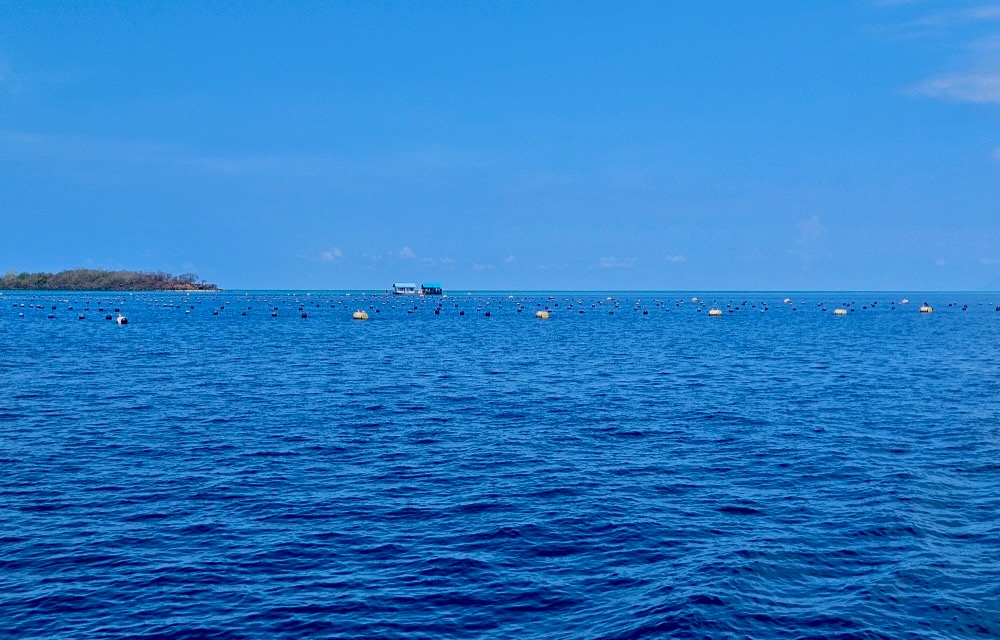 Fishing obstacles, sailing, Indonesia