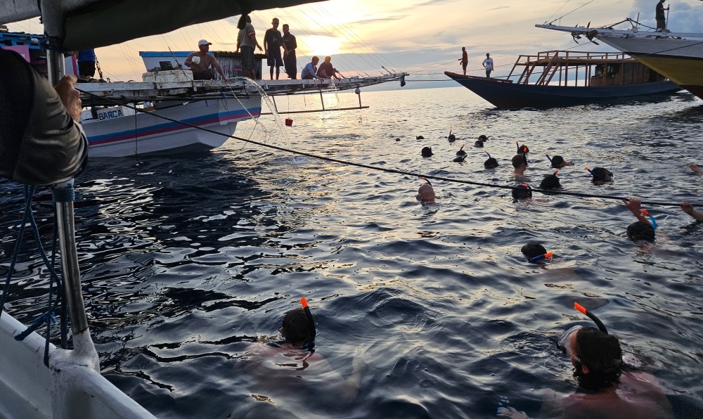 snorkel tour, Saleh Bay