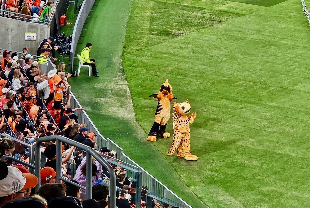 Mascots at Perth Scorchers game
