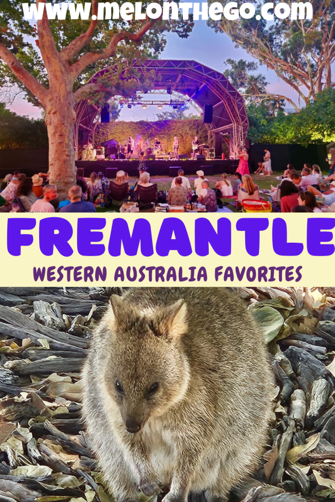 Best of Fremantle pin
