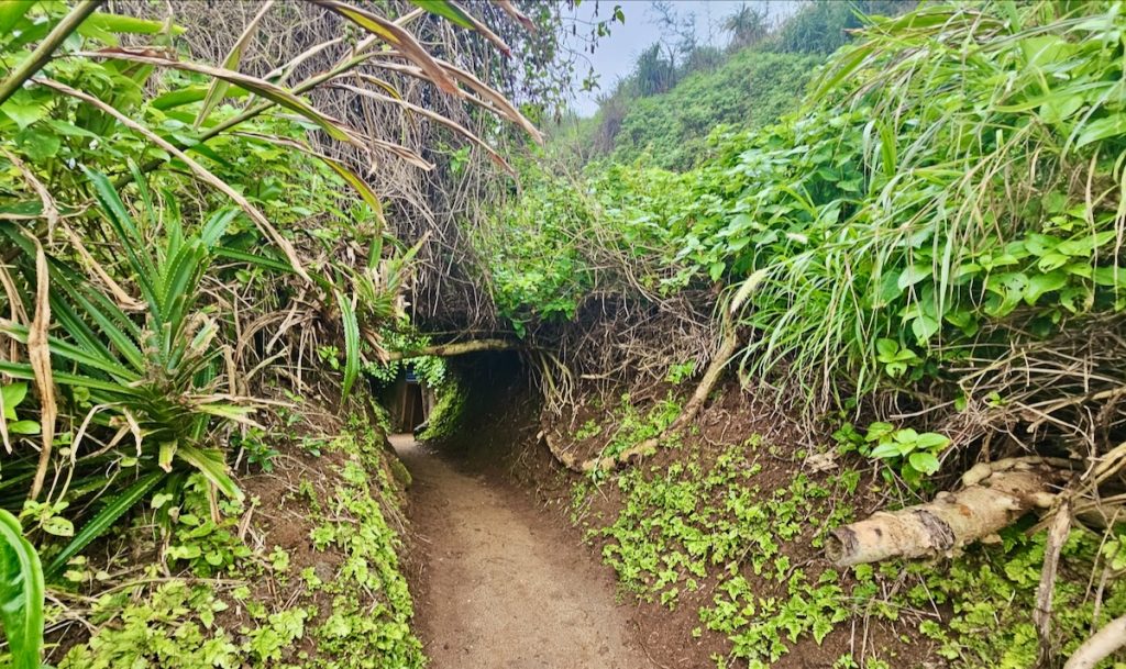 Vinh Moc Tunnels, two weeks in Vietnam