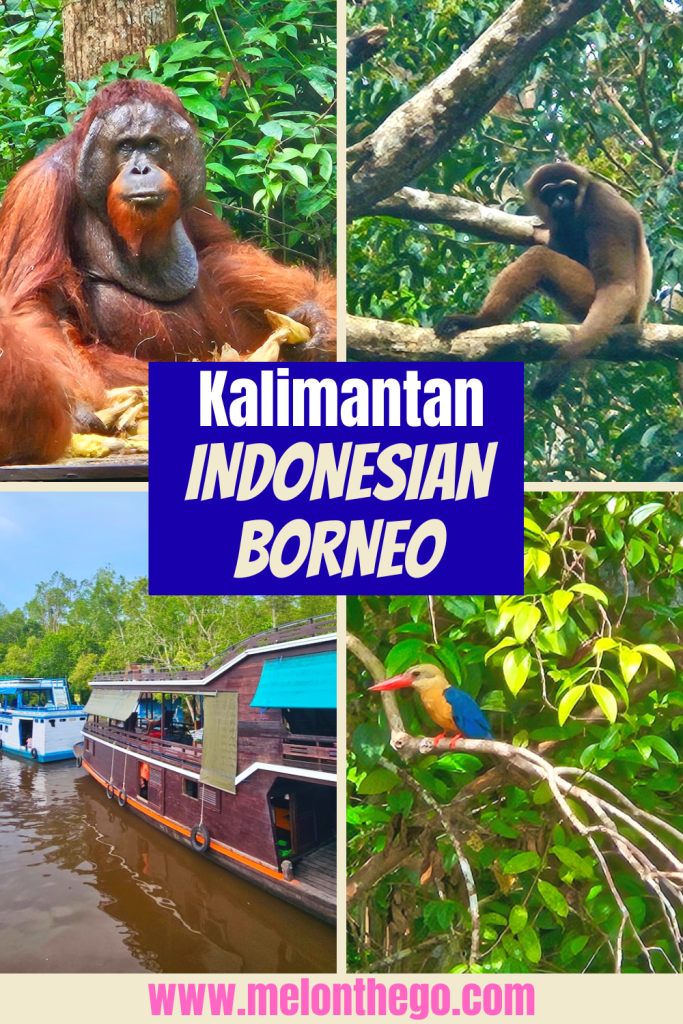 Kalimantan Indonesia pin