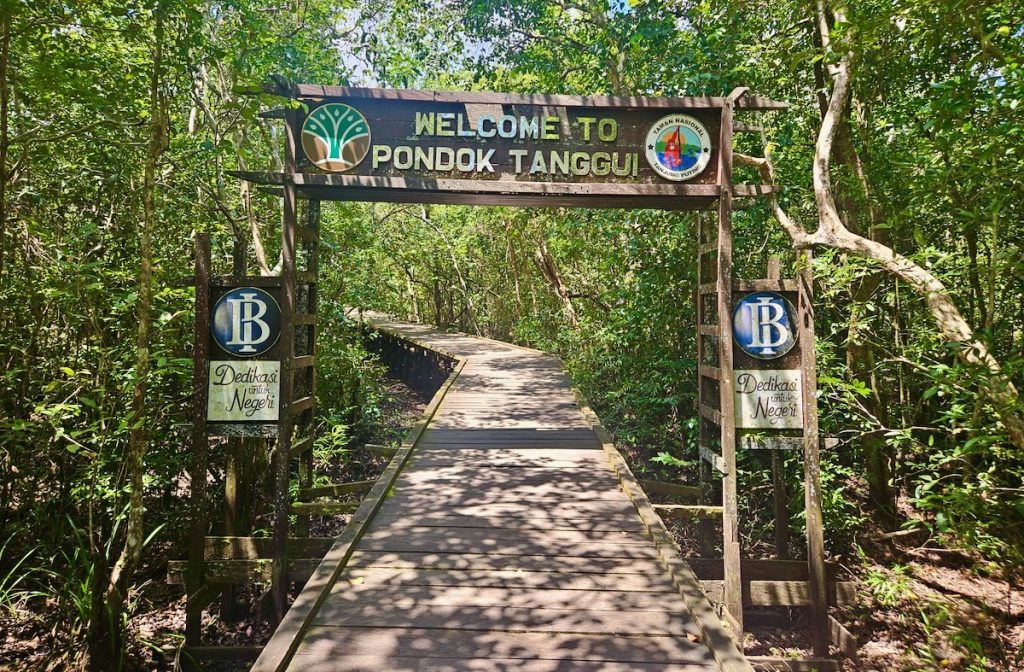 Tanjung Puting National Park, Borneo