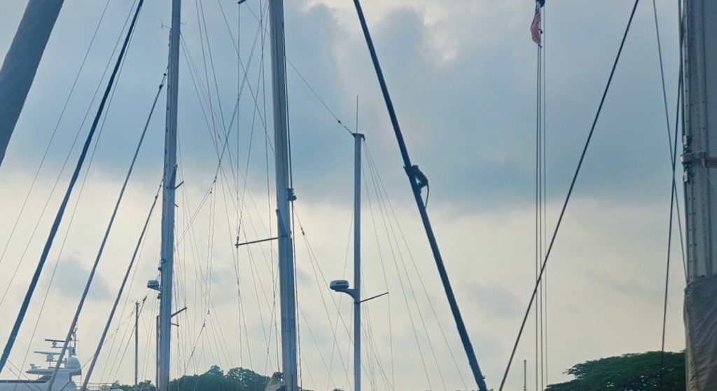 Monkey climbing mast of sailboat