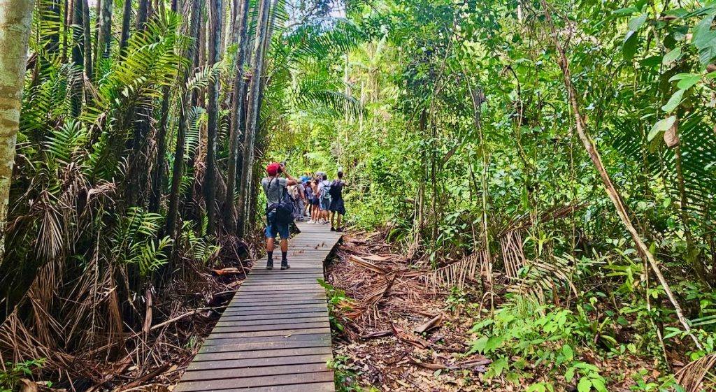 people on the walkway in Bako National Park