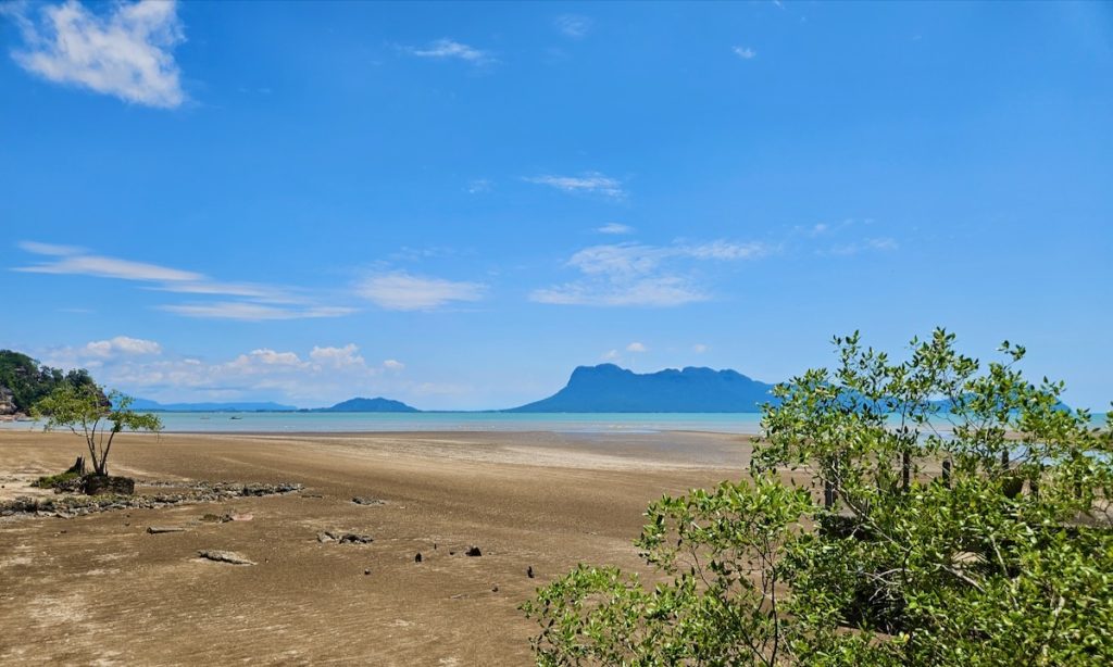 beach at Bako National Park