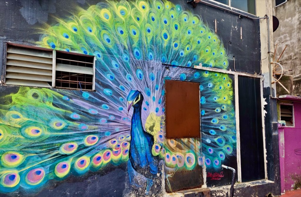 peacock mural in Klang