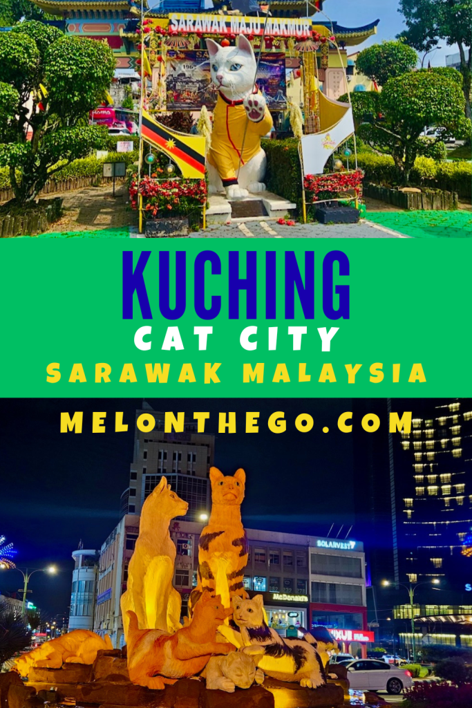 A Trip to Kuching Cat City pin