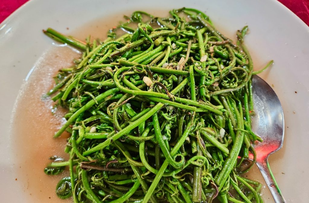 Midin, wild ferns, a delicious Sarawak vegetable