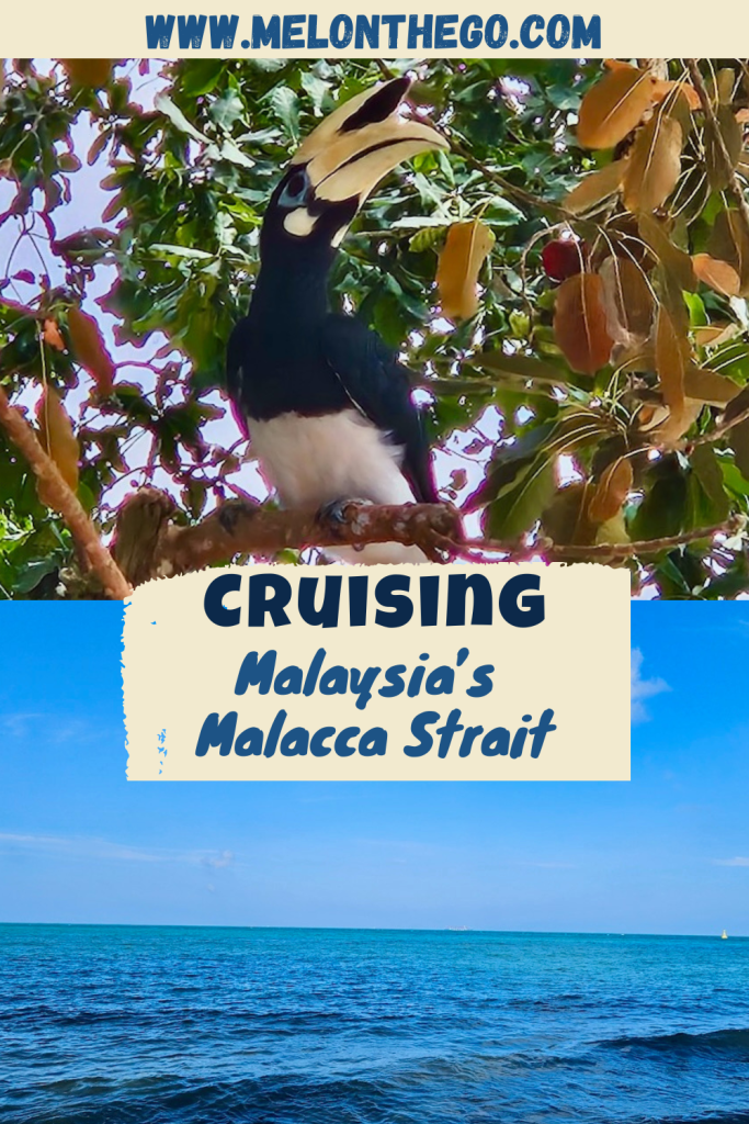 Cruising the Malacca Strait pin