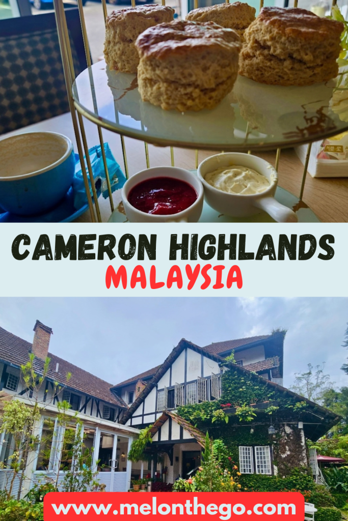 Pin Cameron Highlands highlights