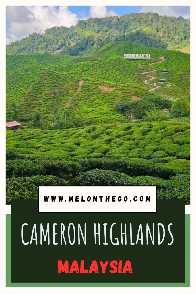 Cameron Highlands Pin